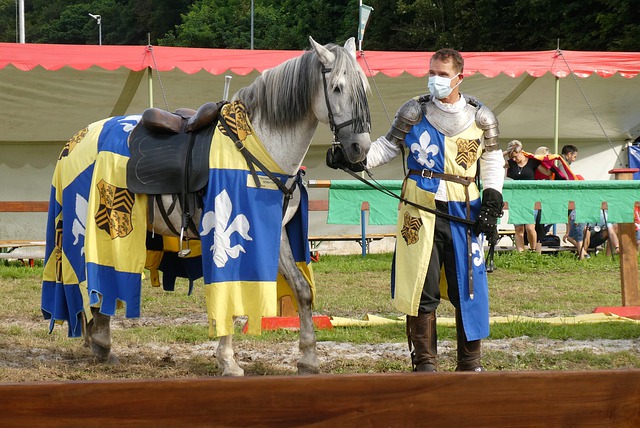 战术安排 战术安排