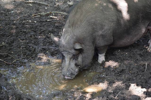 球队的失球 球队的失球