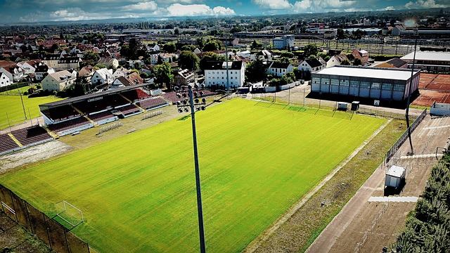 導致賽後議 導致賽後議