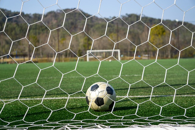 儘管這是一 儘管這是一